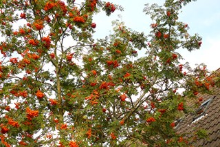 P1080367