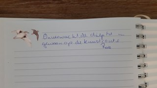 20170605_192707