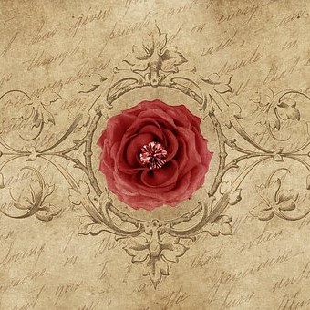 SCHRIJVEN MET LENI SARIS (2)