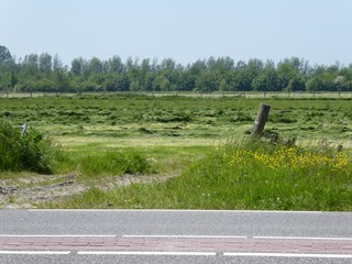 P1010991