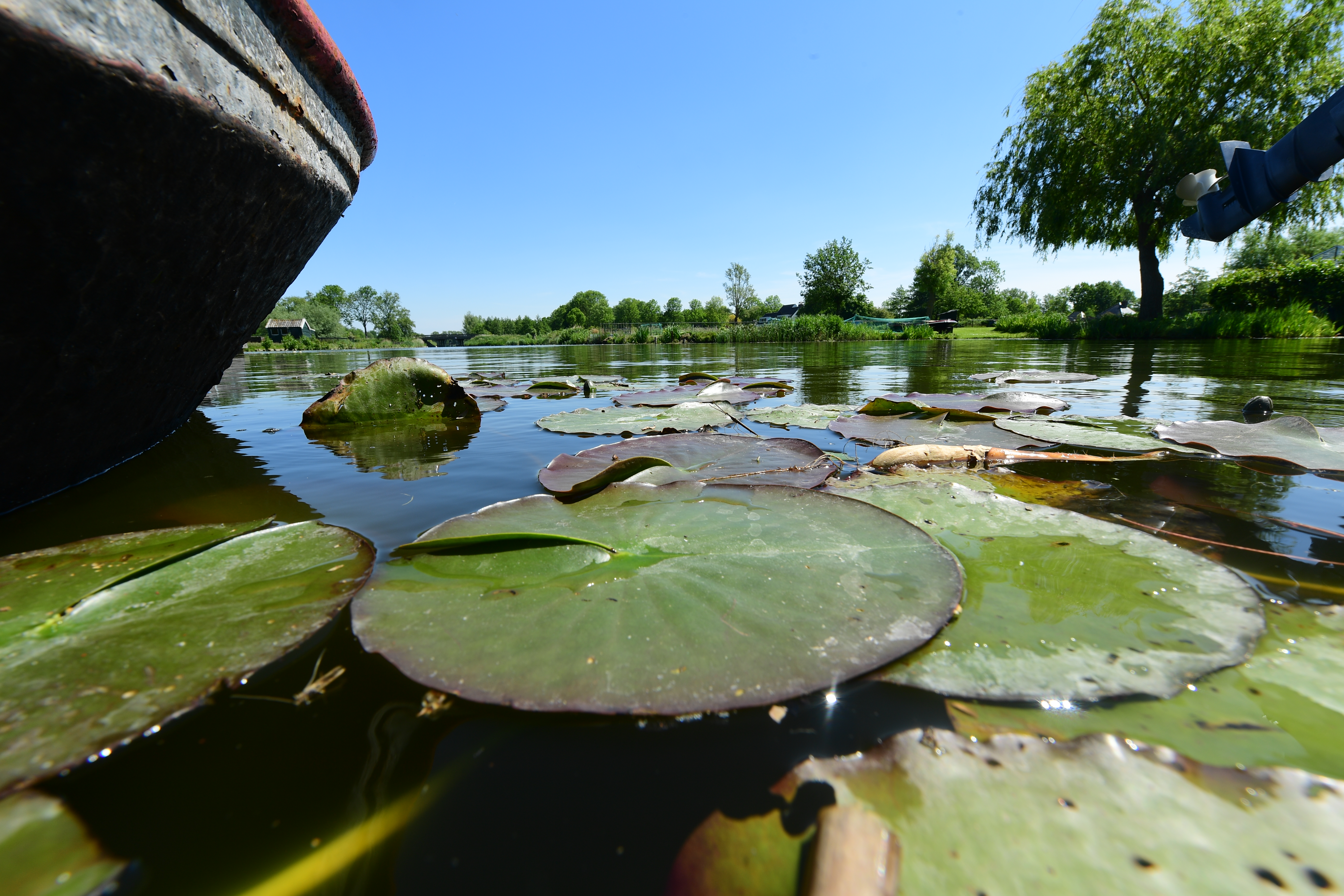 SCHATTIG IS NIET GENOEG