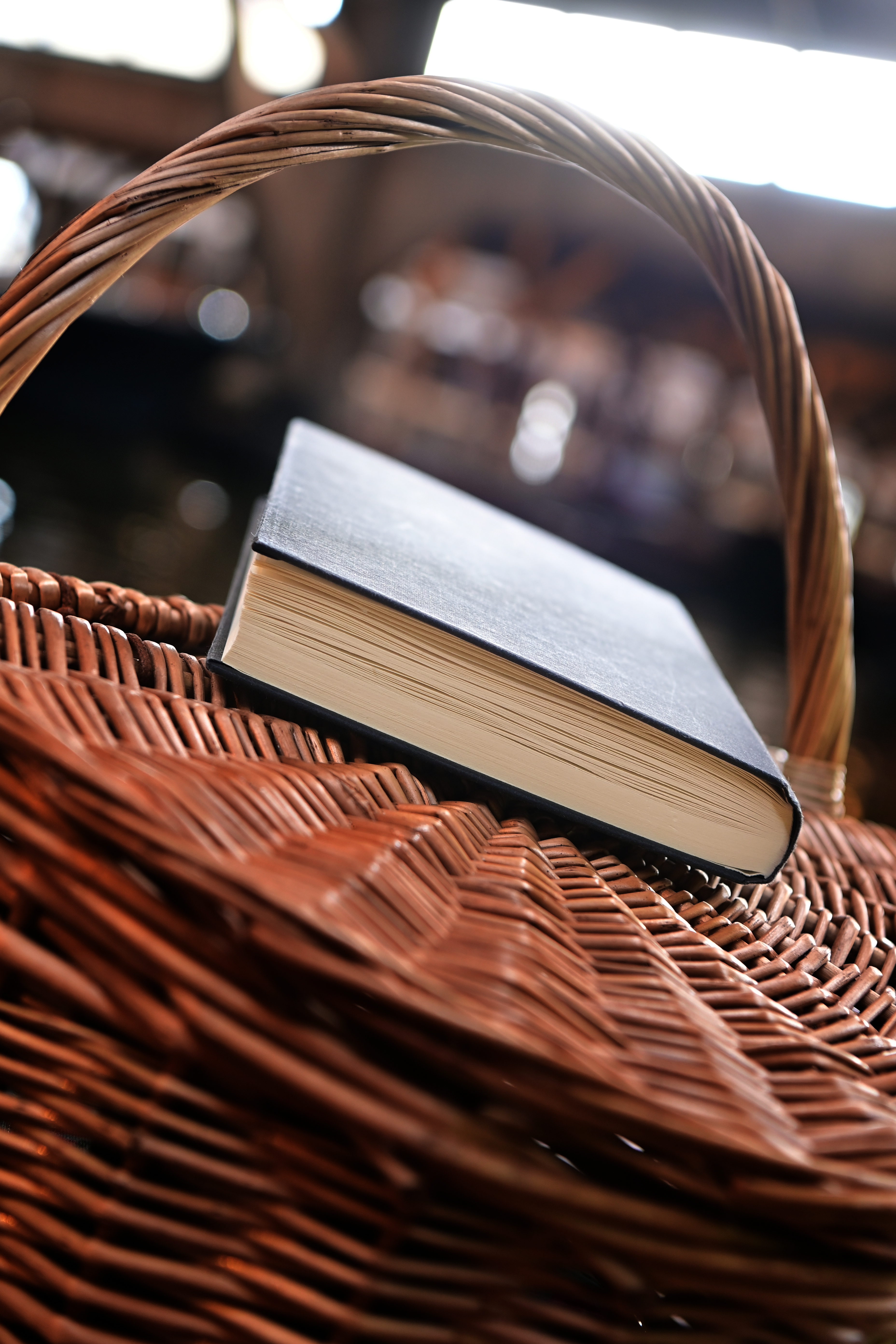 DAGBOEK VAN BAKKER TON WEDER