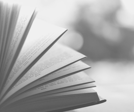 boek in grijstinten