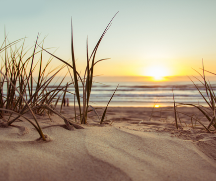 strand met helmgras