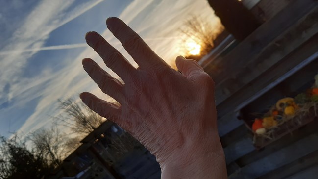 zwaaihandje